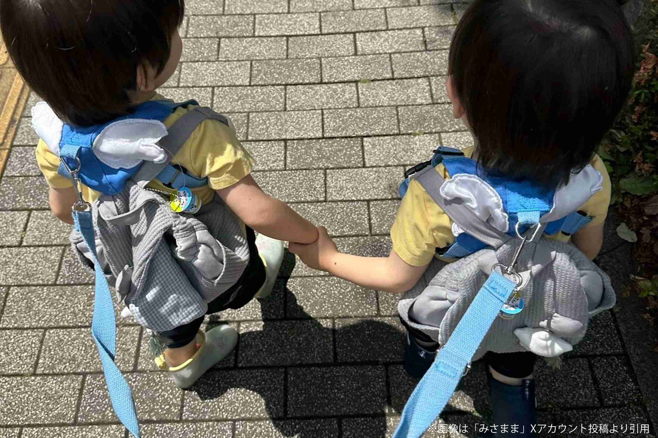 子供のハーネスは「ペットみたいで可哀想」論争に決着か　2児の母の意見が「正論すぎる」と話題 – Sirabee