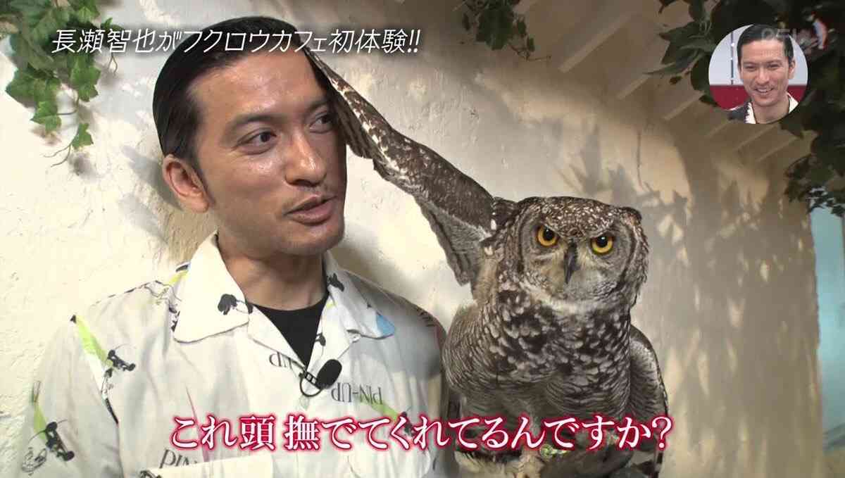 有名人と動物が一緒に写ってる画像を貼るトピPart3