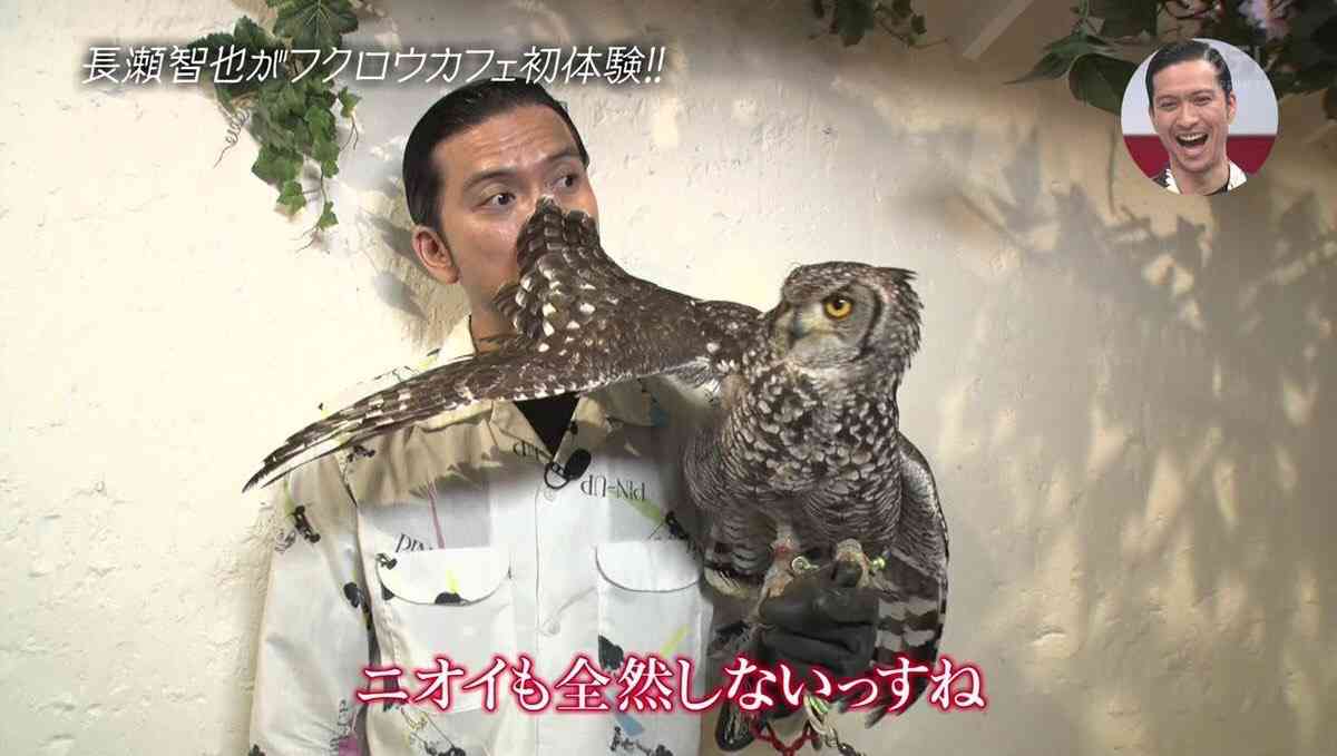 有名人と動物が一緒に写ってる画像を貼るトピPart3
