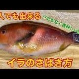 緊急政令（緊急事態条項）が可決して憲法から基本的人権が消されるのが怖すぎる??... | ガールズちゃんねる - Girls Channel -