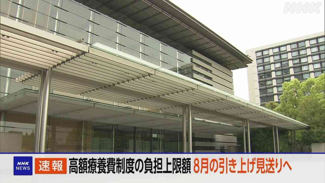 高額療養費制度 負担上限額 ことし8月の引き上げ見送りへ 政府
