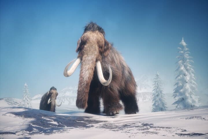 マンモス絶滅、「花粉症が原因」という新研究…冷凍組織から「2つのもの」を発見