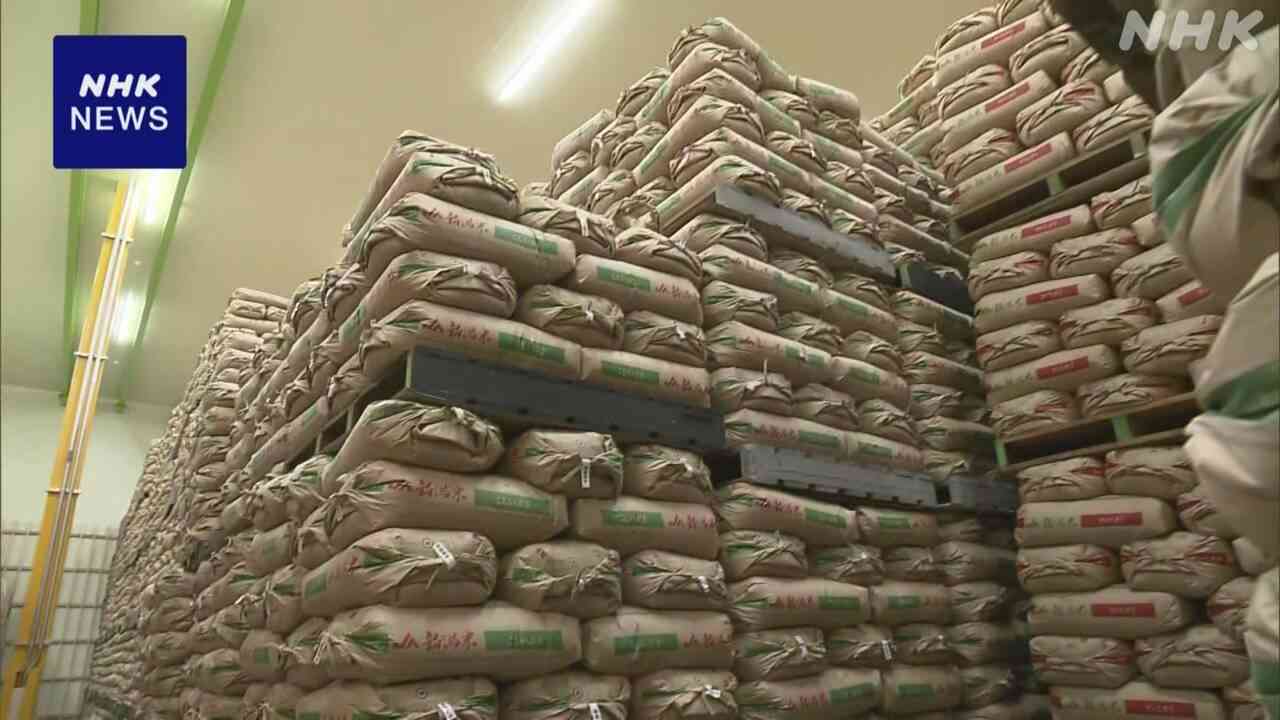 農水省 先週の備蓄米入札 “落札量の9割以上 JA全農が占める” | NHK | 農林水産省