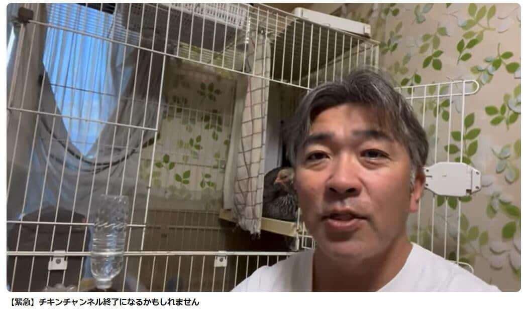 ニワトリ飼育YouTuber、収益化無効に「納得がいかない」　「暴力的で刺激の強いコンテンツ」と判断される: J-CAST ニュース