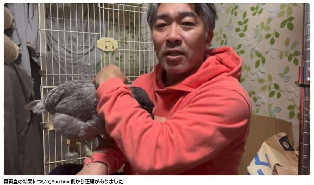ニワトリ飼育YouTuber、収益化無効に「納得がいかない」　「暴力的で刺激の強いコンテンツ」と判断される