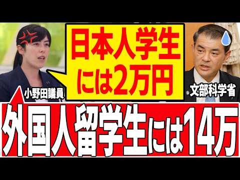 【外国人優遇】日本人学生には2万円、留学生には14万円の衝撃　日本の宝は日本の学生でしょ【国会/小野田紀美/文部科学省/外国人優遇/自民党/切り抜き】