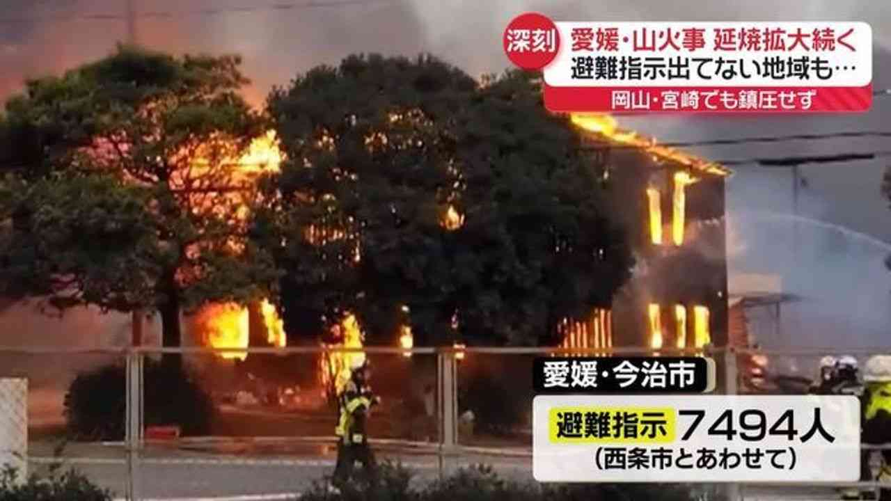 愛媛の山火事 住宅地に飛び火 - Yahoo!ニュース