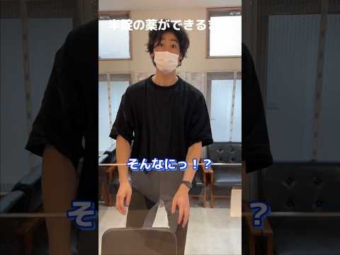 【みんな知らない】半錠の薬が出来るまで　　#薬 #薬局 #薬剤師