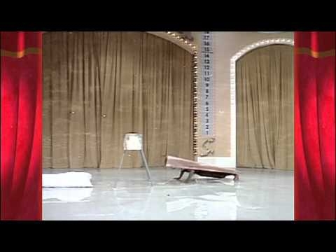 全日本仮装大賞/透明人間の跳馬