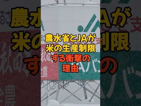 ㊗️30万再生 農水省とJAがコメの生産制限する理由 #百姓一揆 #農家 #農林水産省 #税金 #政治 #農協
