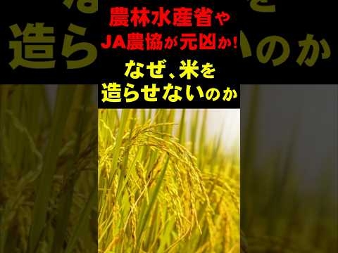 【気になるニュース】農林水産省や JA農協が元凶か、なぜ米を造らせないのか