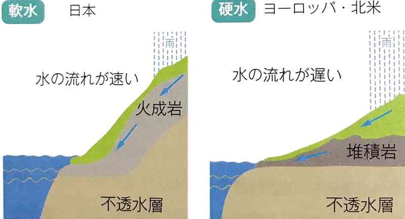 【海外旅行】硬水　シャンプー問題【バサバサ】