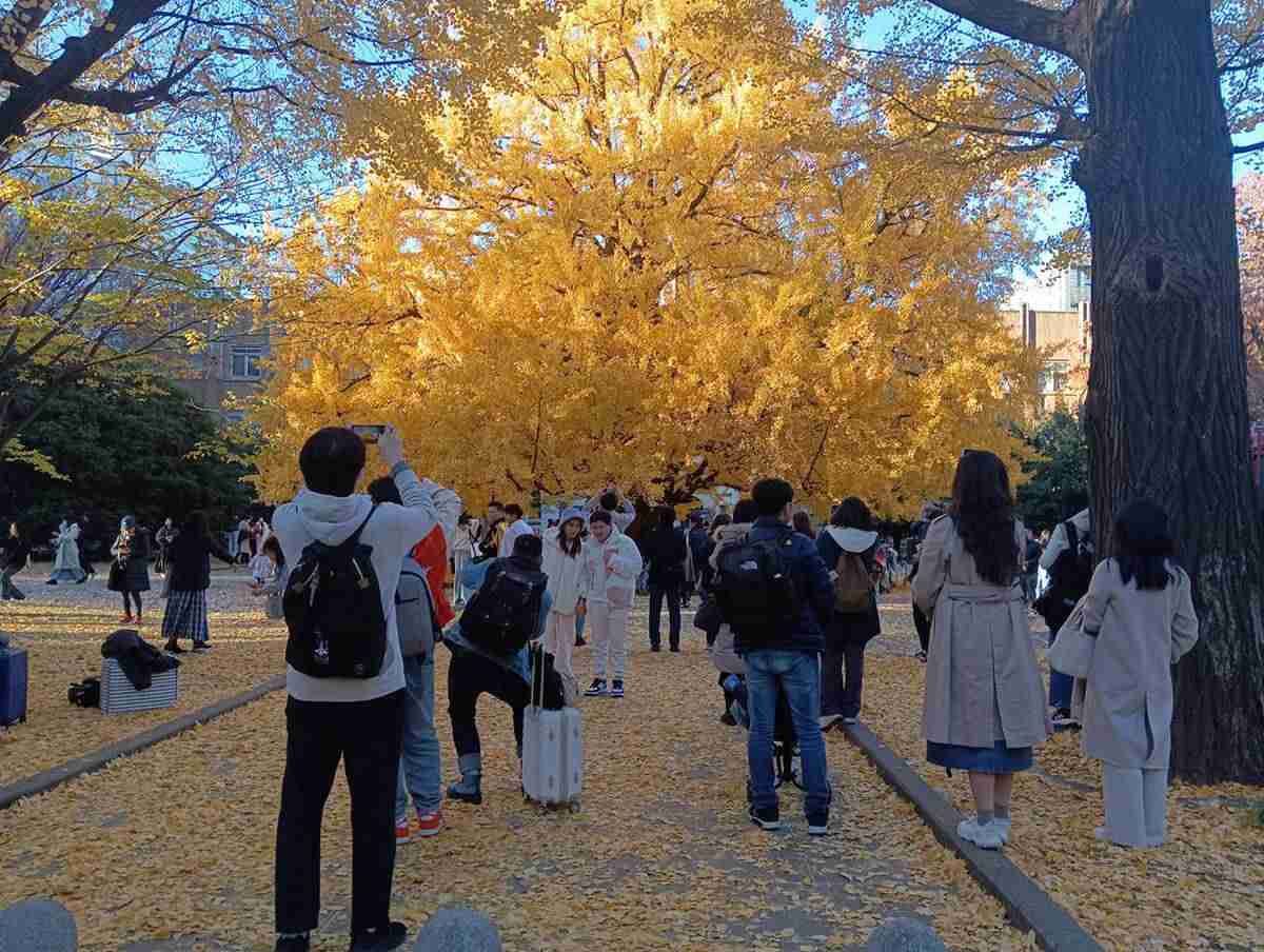 「東大」が「中国人留学生」だらけになっていた　大学院生の「5人に1人が中国人」…周辺には「ガチ中華」もズラリ（デイリー新潮） - Yahoo!ニュース