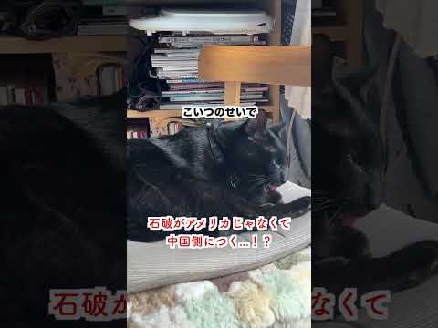 【激怒】石破がアメリカじゃなくて中国側につく...！？