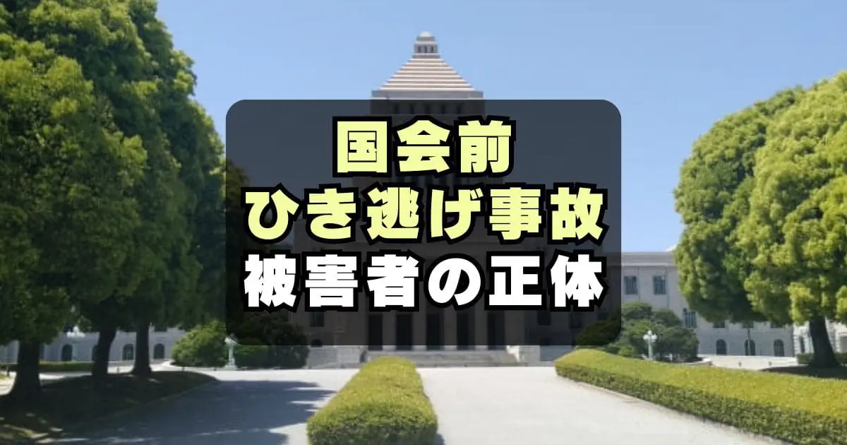 国会前ひき逃げ被害者 大野泰弘さんとは？財務省の秘密を握ってた？ - イロハポスト