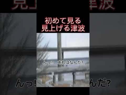 巨大な壁のように迫って来る津波　東日本大震災 2011.3.11