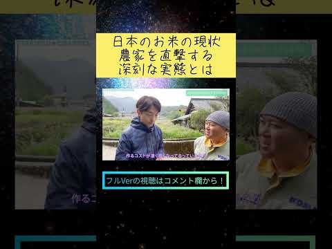 日本のお米の現状、深刻な実態とは #shorts #スターシード #お米 #農家 #市村よしなり