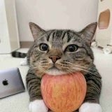 >>8与党が憲法から基本的人権まで削除しようとしてるからねなのに政治より広末に夢... | ガールズちゃんねる - Girls Channel -