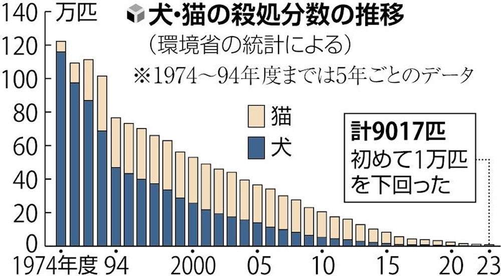 殺処分された犬と猫、2023年度は9017匹で初の1万匹以下に…1974年度は122万匹 | ガールズちゃんねる - Girls Channel