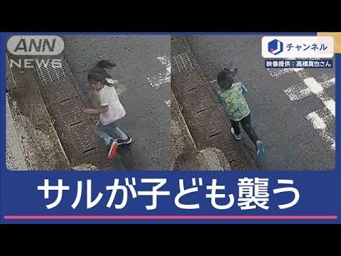 サルに子どもが襲われる　逃げても家まで追いかけられて【スーパーJチャンネル】(2025年5月8日)