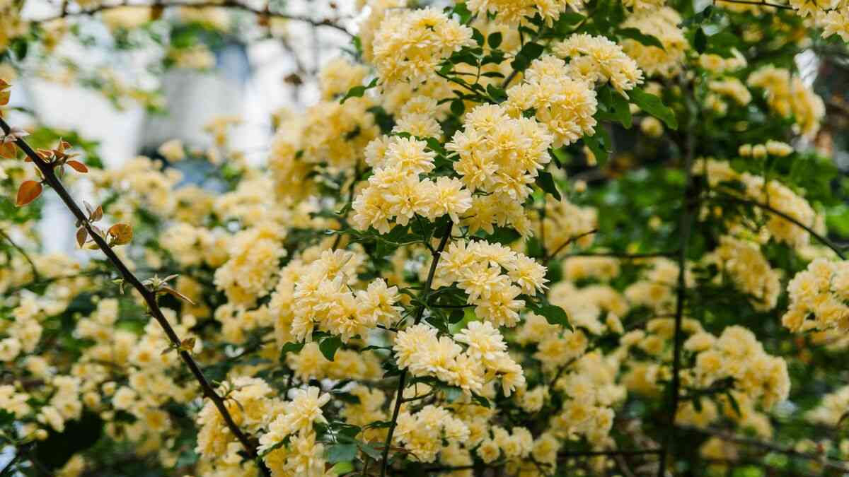 精神科医･和田秀樹｢複雑性PTSDなんかではない｣眞子さまの本当の病名は【2021下半期BEST5】 宮内庁は苦しむ患者を追い詰めた | PRESIDENT Online（プレジデントオンライン）