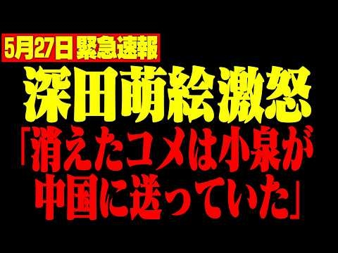 【深田萌絵】※小泉進次郎の米改革は竹中平蔵が操っていた…JA解体の闇と中国への米流出を暴露