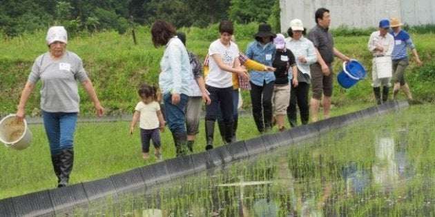 比較されがちなこと