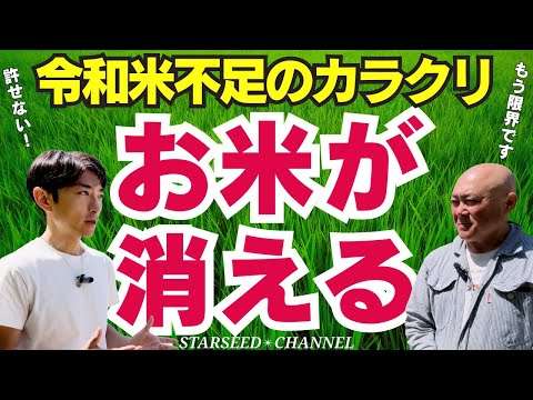 日本のお米が消えた理由を知っていますか？真実を語ります