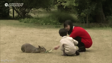 比較されがちなこと