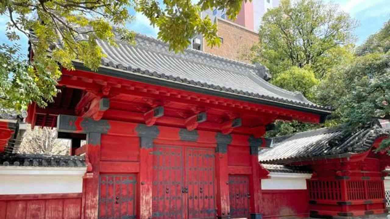 東大 ハーバード留学生受け入れへ - Yahoo!ニュース