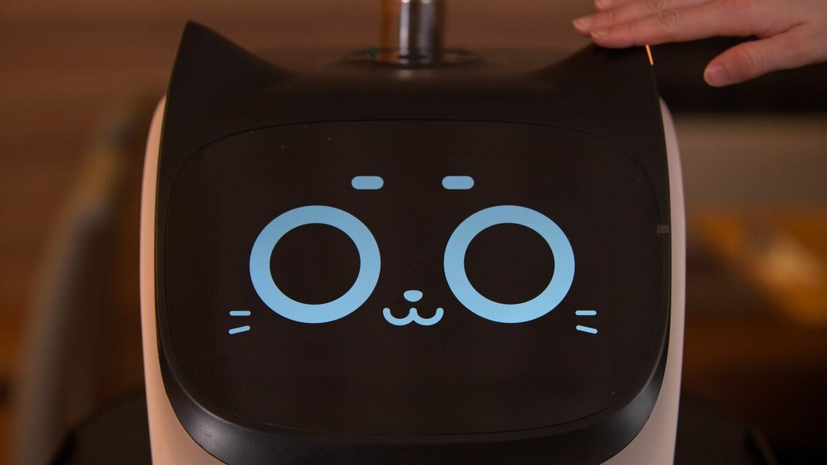 「猫ロボットで効率化だ！→採用も増えちゃいました」  ガストやしゃぶ葉で導入の配膳ロボット。運営会社も驚いた“意外な効果”を聞いた | 外食ビジネスのハテナ特捜最前線 | 東洋経済オンライン