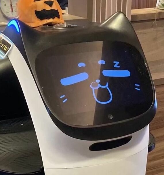 「猫ロボットで効率化だ！→採用も増えちゃいました」 ガストやしゃぶ葉で導入の配膳ロボット。運営会社も驚いた“意外な効果”を聞いた