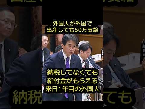 納税してない外国人にも給付金｜出産育児一時金では外国人が外国で出産して50万円｜柳ケ瀬議員が国会で指摘する #shorts
