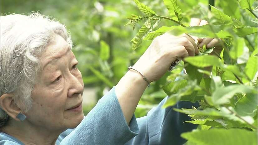 比較されがちなこと