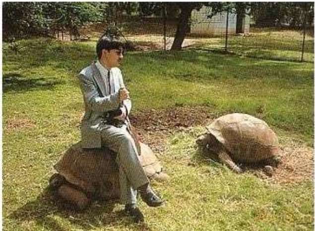 比較されがちなこと