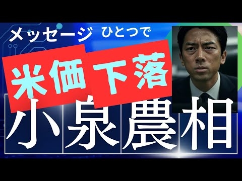 自分がメッセージを出せば米価が下がると思い込んでいる人物が農水相？現実がわからない、見ようともしない「役者政治」家？DSのパペット？何なのか？怖すぎる。