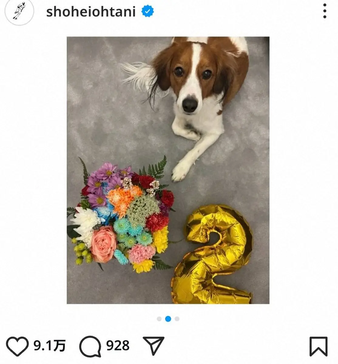 ドジャース・大谷翔平　愛犬デコピンの2歳の誕生日を祝う！「ナ・リーグ最優秀“犬”」の記念盾も