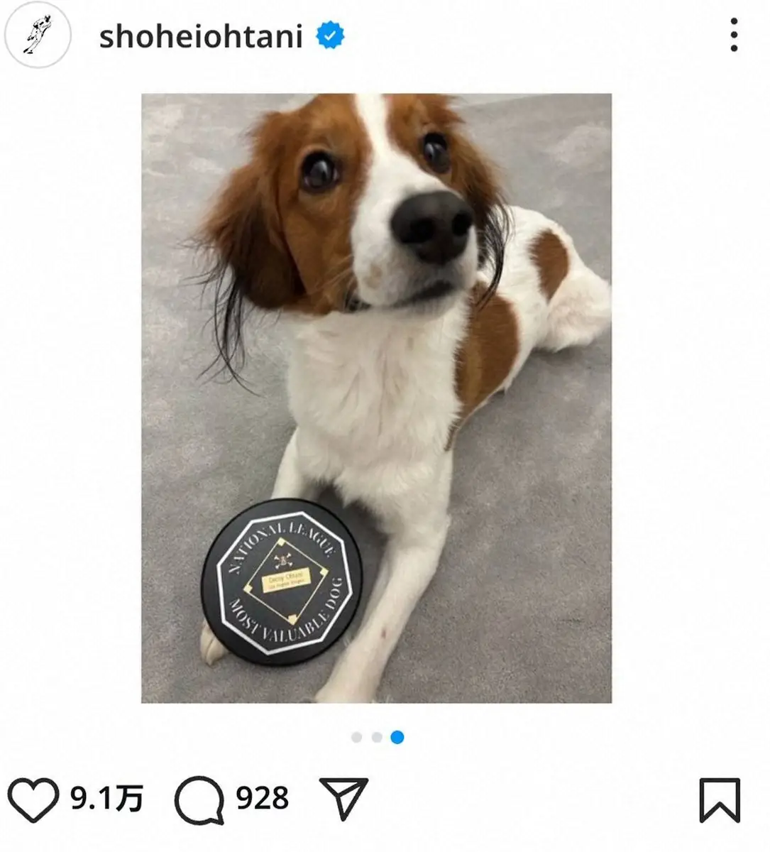 ドジャース・大谷翔平　愛犬デコピンの2歳の誕生日を祝う！「ナ・リーグ最優秀“犬”」の記念盾も