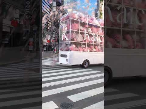 大人のためのカラコン【Kaica】2025.04.08 Debut