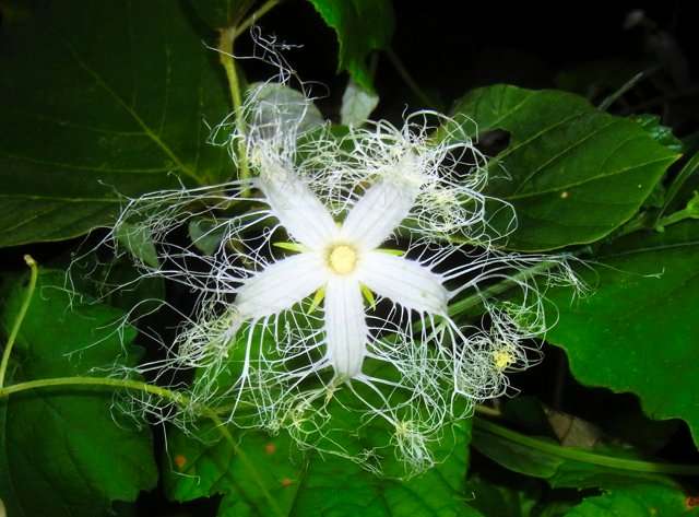 比較されがちなこと