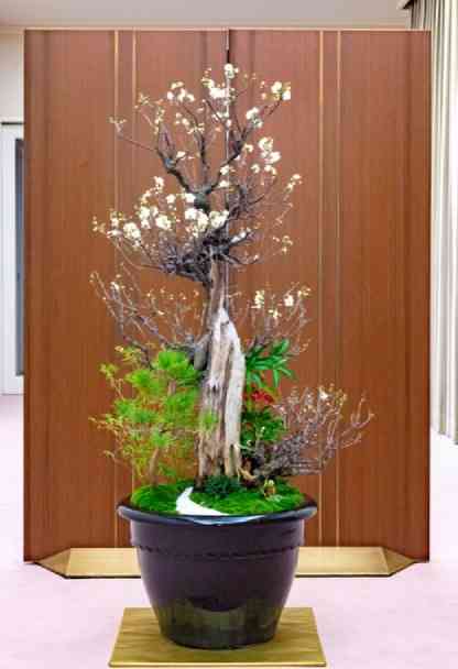 悠仁さまが制作された「春飾り」 | 全日本盆栽協会