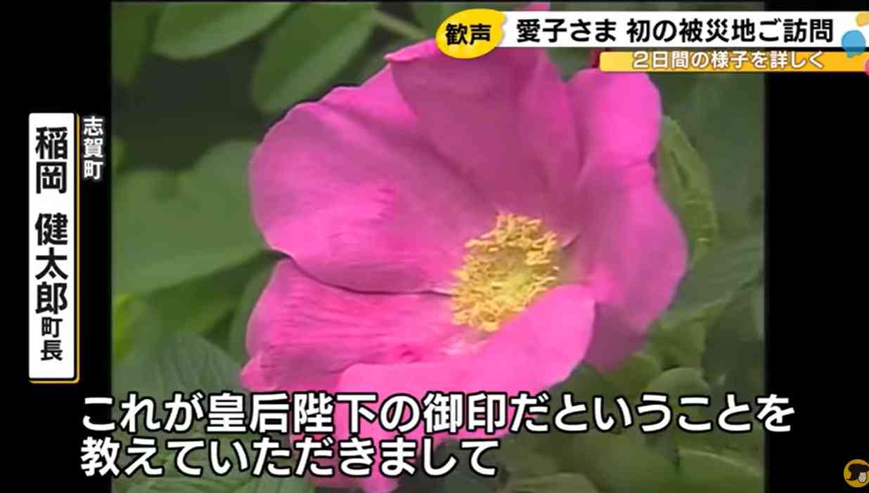 比較されがちなこと