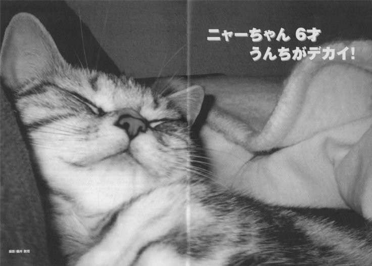 (定期)櫻井敦司語るトピ アンチ🈲