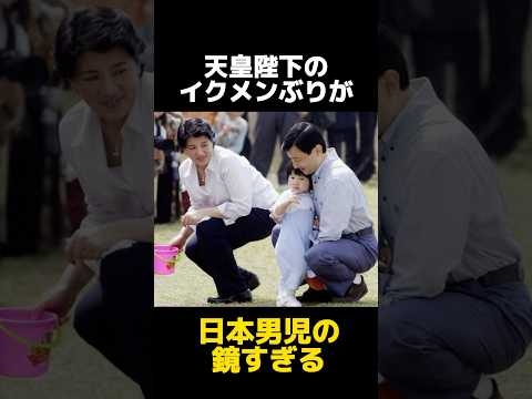 マイホームヒーローすぎる天皇陛下に関する雑学