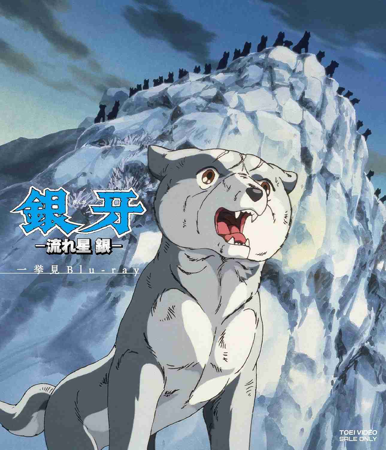 大型犬の画像下さい