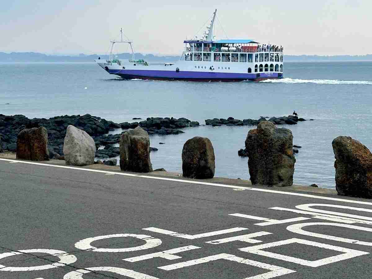 韓国の済州島はなぜ“中国人の島”になった？＝韓国ネット「数十年後には中国の土地に…」