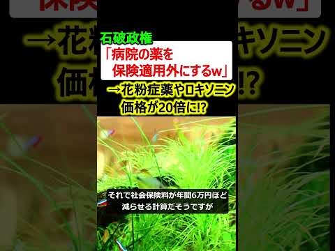 石破政権「病院の薬を保険適用外にするw」→花粉症薬やロキソニンが20倍の価格に!?
