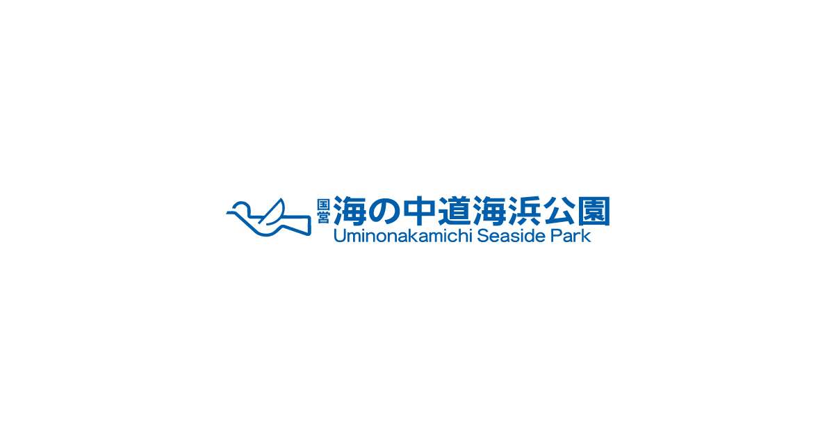 サンシャインプール | 海の中道海浜公園 | 海の中道海浜公園 | 福岡市東区にある自然豊かな国営公園