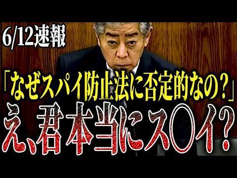 【岩屋ス○イ？】「所詮口だけだろ！」違法外国人ゼロ、スパイ防止法 選挙前アピールにブチギレ【国会中継】【柳ヶ瀬裕文】