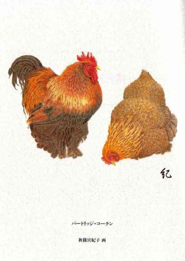 比較されがちなこと